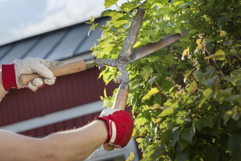 bay area landscaping pros | 2901 Mary Ann Ln Apt. 173, Bay Point, CA 94565 | Phone: (707) 329-3702