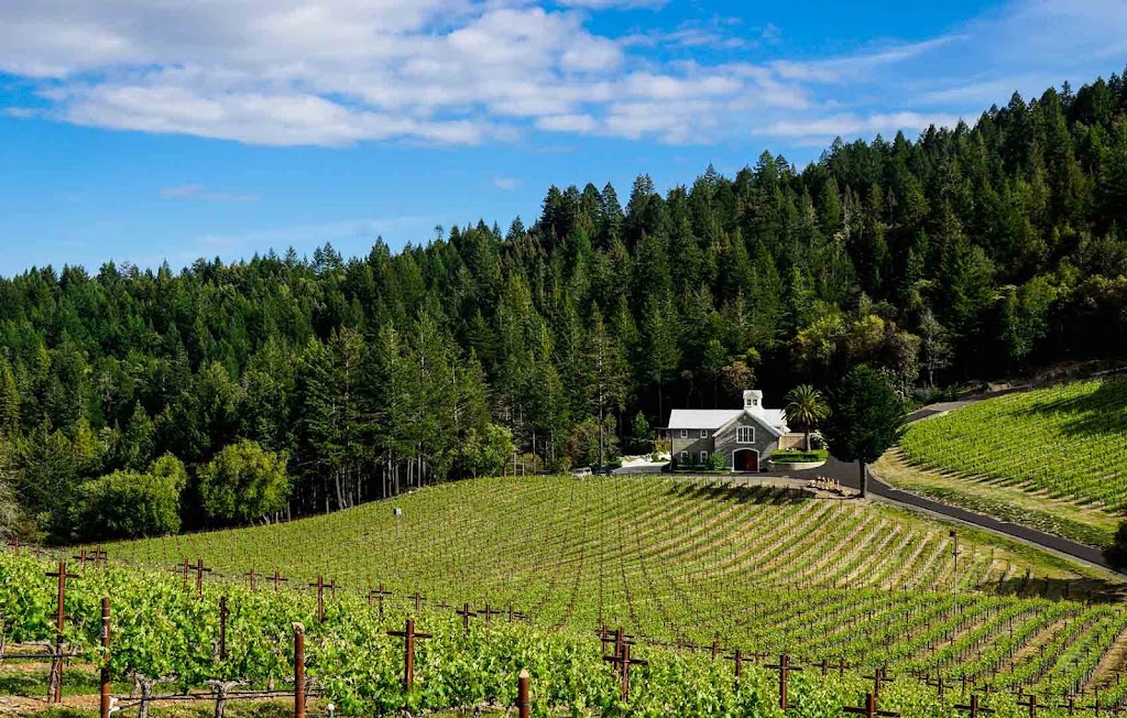 BOWERS Wine Tours | 2114 Imola Ave, Napa, CA 94559 | Phone: (707) 474-8466