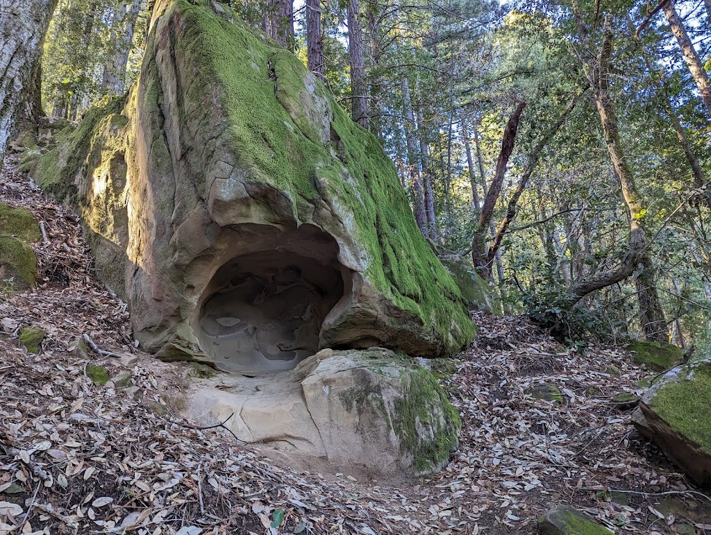 Teague Hill Open Space Preserve | 470 Summit Spring Rd, Woodside, CA 94062 | Phone: (650) 691-1200