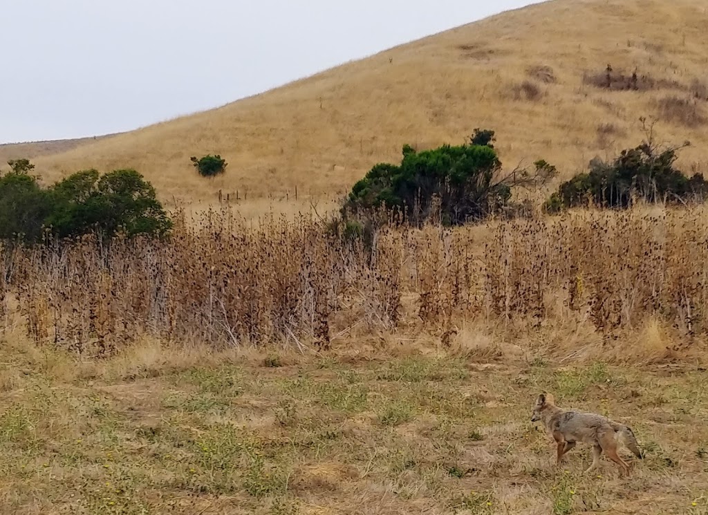 EBMUD Valle Vista Staging Area | Moraga, CA 94556 | Phone: (866) 403-2683