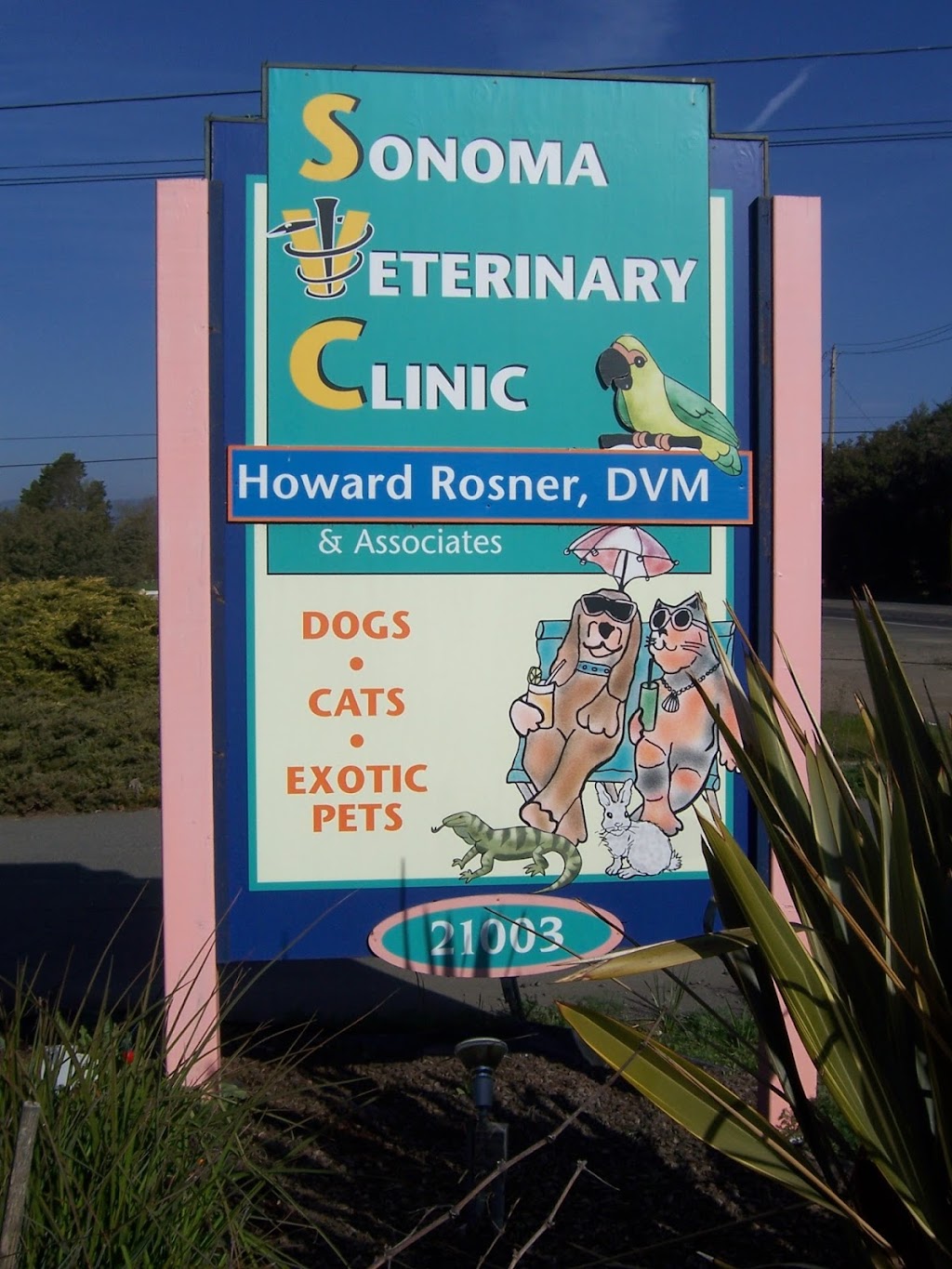 Sonoma Veterinary Clinic | 21003 Broadway, Sonoma, CA 95476 | Phone: (707) 938-4455