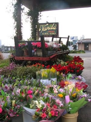 Vanda Floral Design - Retail Storefront | 501 Petaluma Blvd N, Petaluma, CA 94952 | Phone: (707) 763-9271