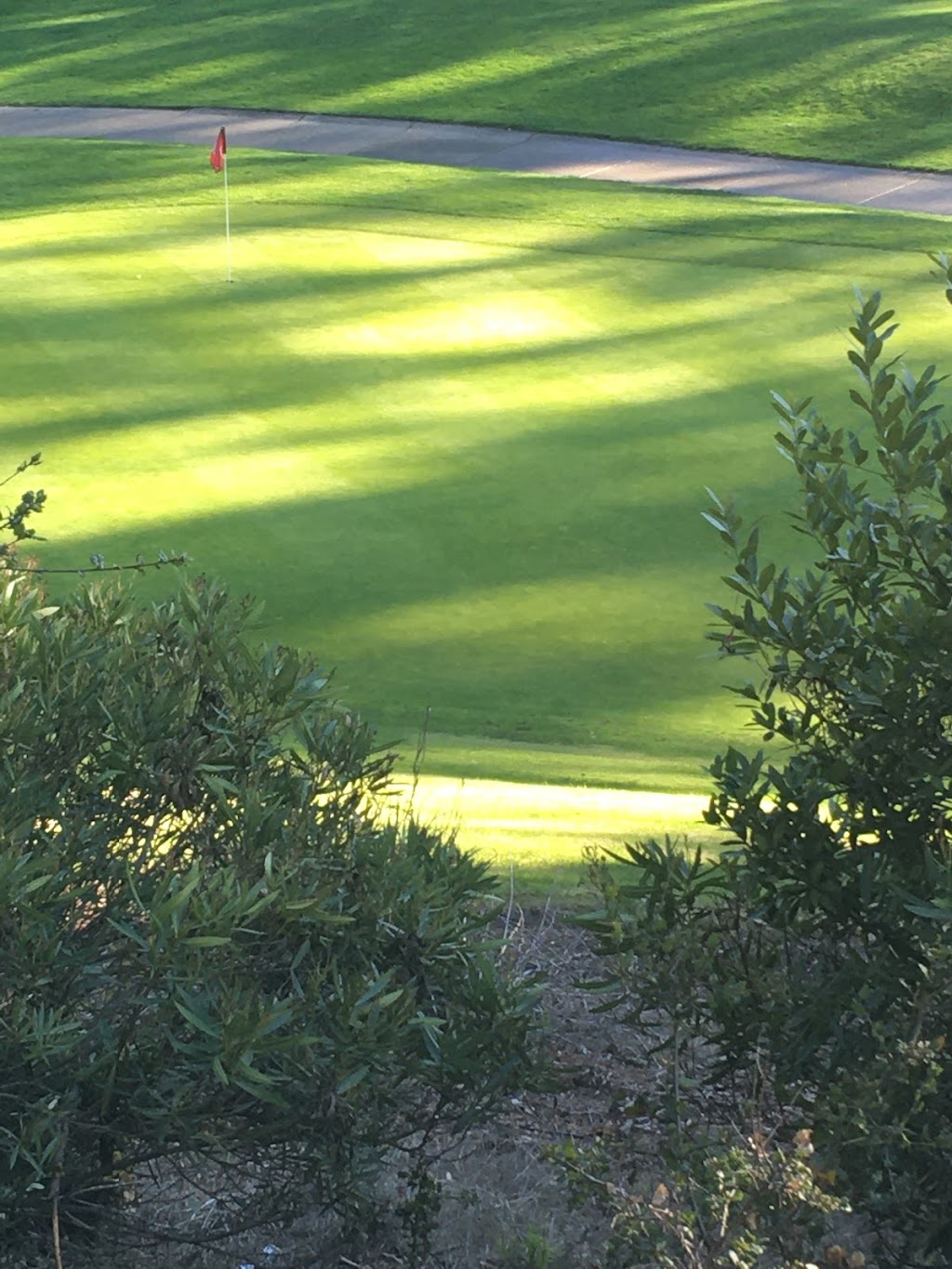 Tilden Park Golf Course | 10 Golf Course Dr, Berkeley, CA 94708 | Phone: (510) 848-7373