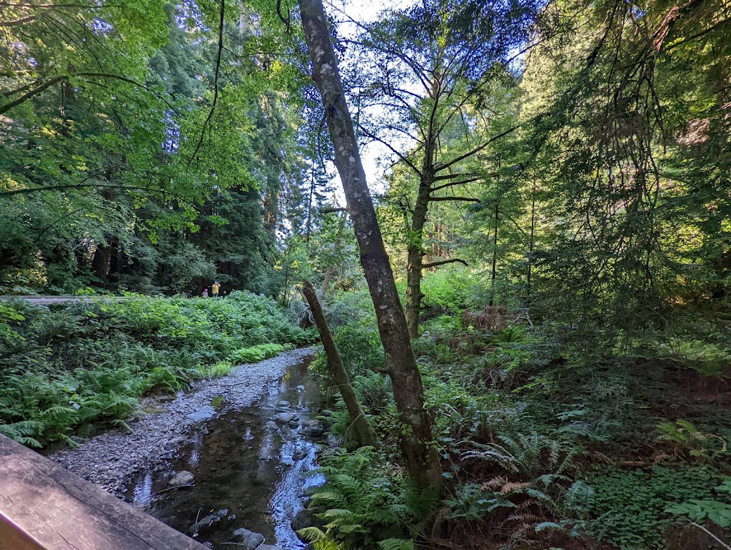 Muir Woods Visitor Center | 1 Muir Woods Rd, Mill Valley, CA 94941 | Phone: (415) 388-7368