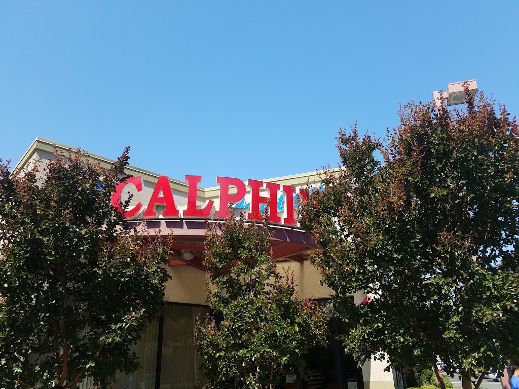 Calphin Swim Academy | 34075 Fremont Blvd, Fremont, CA 94555 | Phone: (510) 790-7946