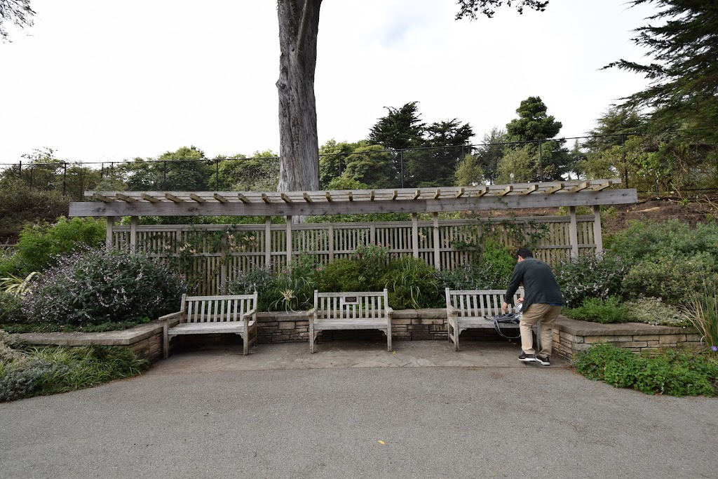 Zellerbach Garden of Perennials | Cloud Forest Path, San Francisco, CA 94122 | Phone: (415) 661-1316