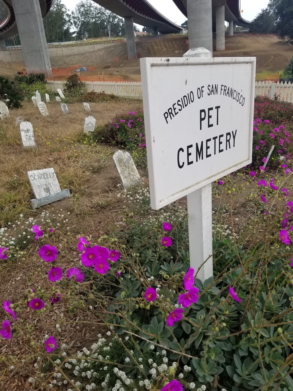 Presidio Pet Cemetery | 667 McDowell Ave, San Francisco, CA 94129 | Phone: (415) 561-4323