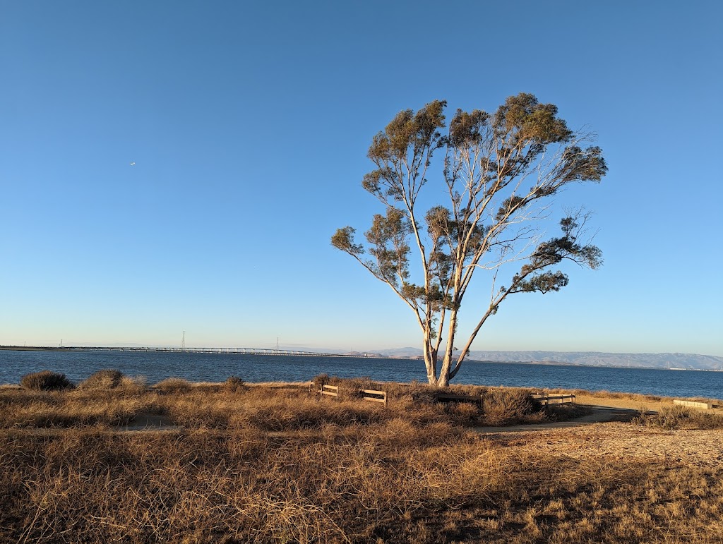 Cooley Landing Park | 2100 Bay Rd, East Palo Alto, CA 94303 | Phone: (650) 385-3100