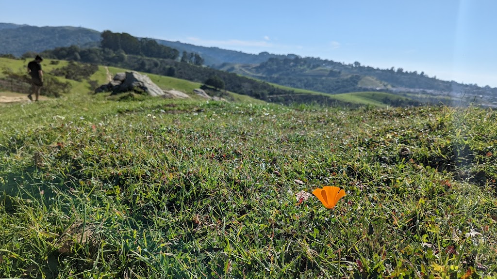 Five Canyons Open Space | MXRC+FC, 5909 Gold Creek Dr, Castro Valley, CA 94552 | Phone: (510) 544-3073