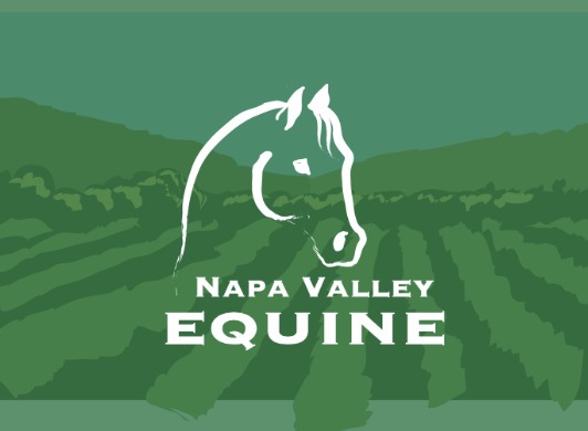 Napa Valley Equine | 3198 Silverado Trail, Napa, CA 94558 | Phone: (707) 637-6137