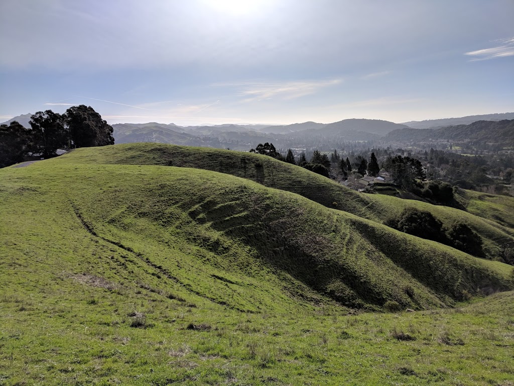 Orinda Oaks Park | Orinda, CA 94563 | Phone: (925) 254-2445