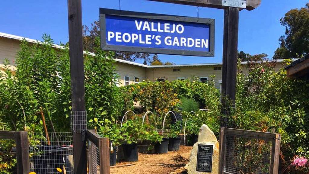 Vallejo Peoples Garden | 1055 Azuar Drive, Vallejo, CA 94592 | Phone: (707) 733-3874
