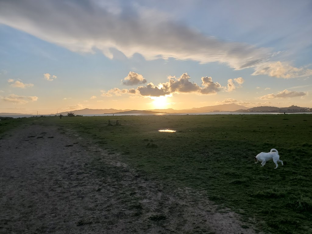 Point Isabel Dog Park | 2701 Isabel St, Richmond, CA 94804 | Phone: (888) 327-2757