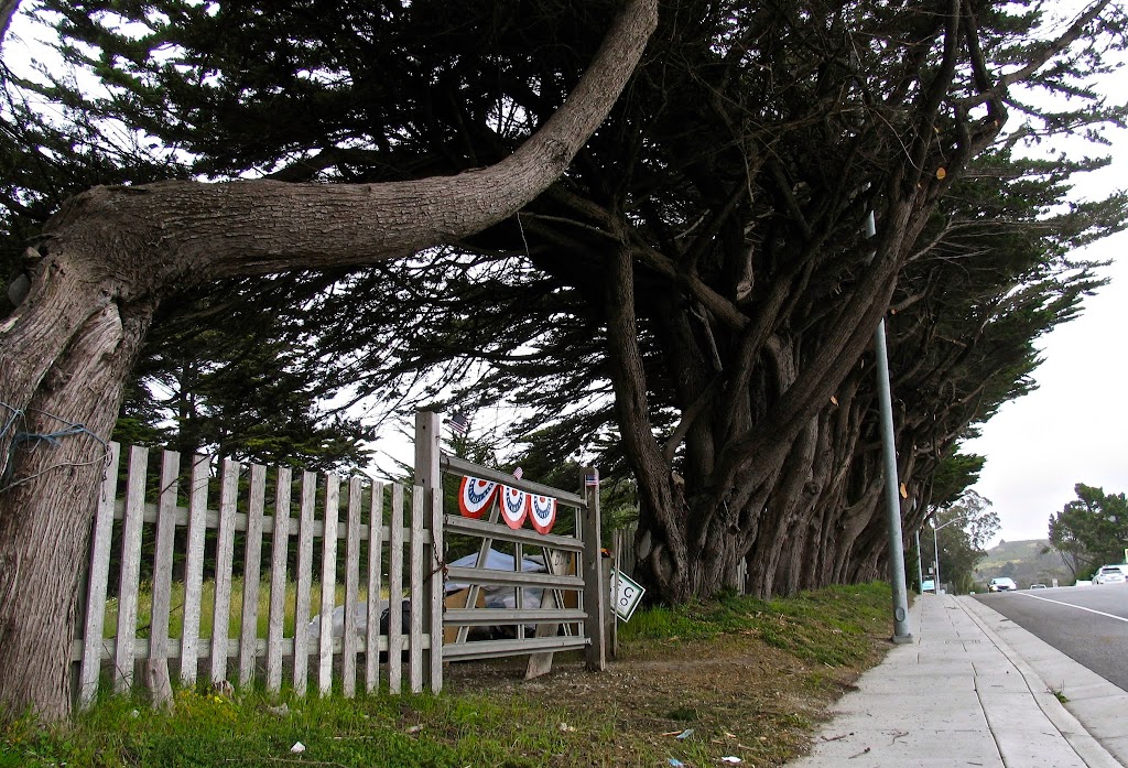 Independent Order of Odd Fellows Cemetery | CA-92 Box 712, Half Moon Bay, CA 94019 | Phone: (650) 712-0718