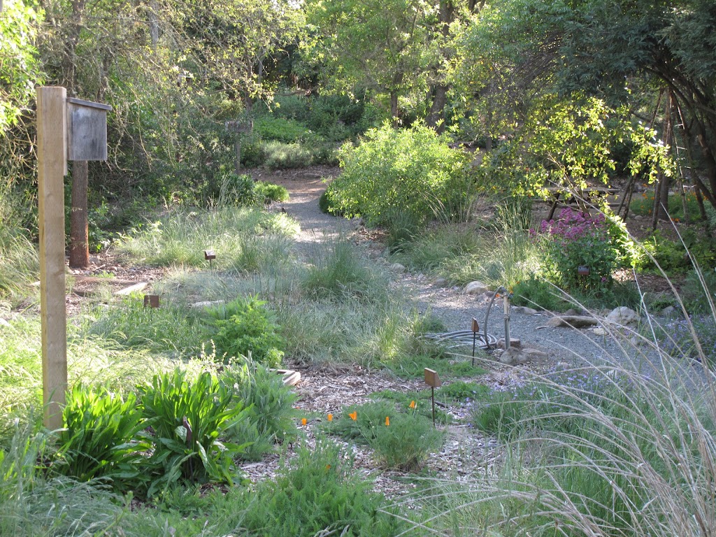 Martha Walker Native Habitat Garden | 2201 Imola Ave, Napa, CA 94559 | Phone: (707) 253-2665