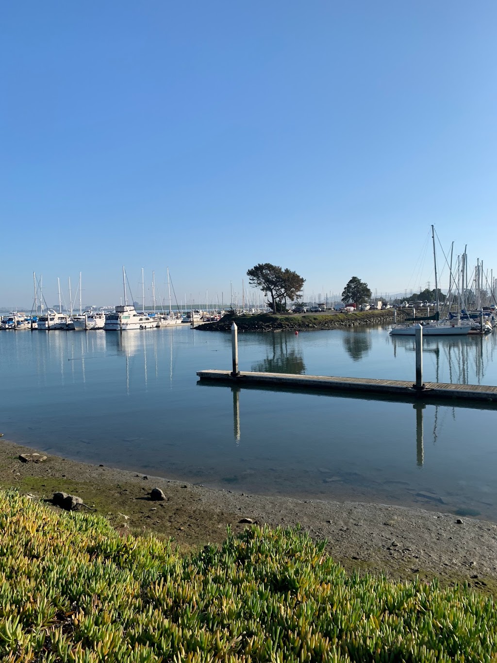 Coyote Point Recreation Area | 1701 Coyote Point Dr, San Mateo, CA 94401 | Phone: (650) 573-2592