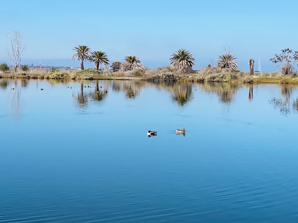 Baylands Nature Preserve | 2500 Embarcadero Rd, Palo Alto, CA 94303 | Phone: (650) 617-3156