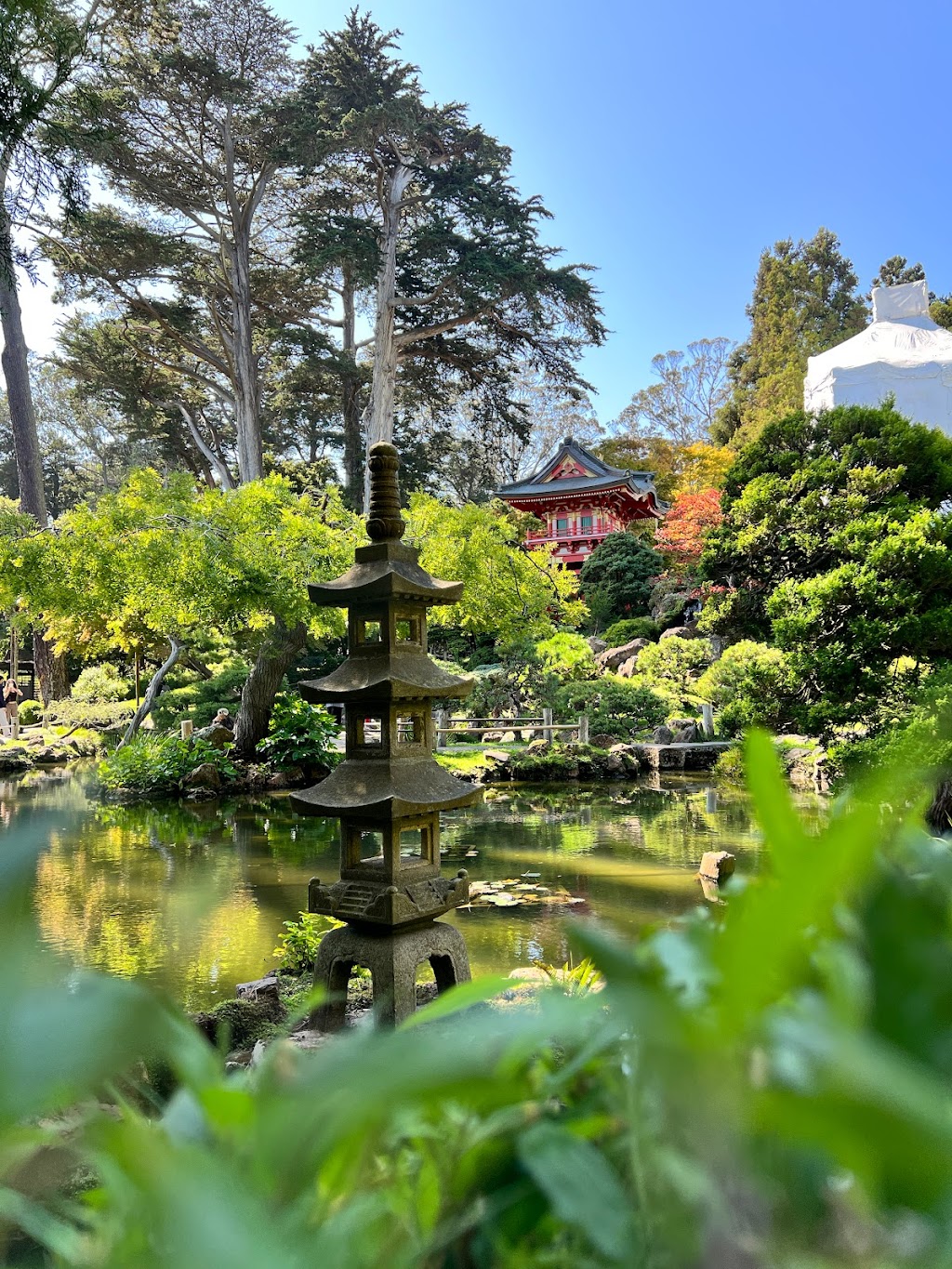 Japanese Tea Garden | 75 Hagiwara Tea Garden Dr, San Francisco, CA 94118 | Phone: (415) 752-1171