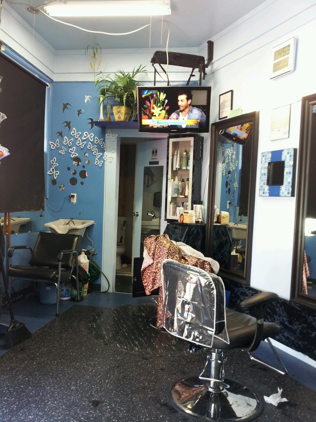 Melissa Hair Studio | 4696 18th St, San Francisco, CA 94114 | Phone: (415) 756-8145
