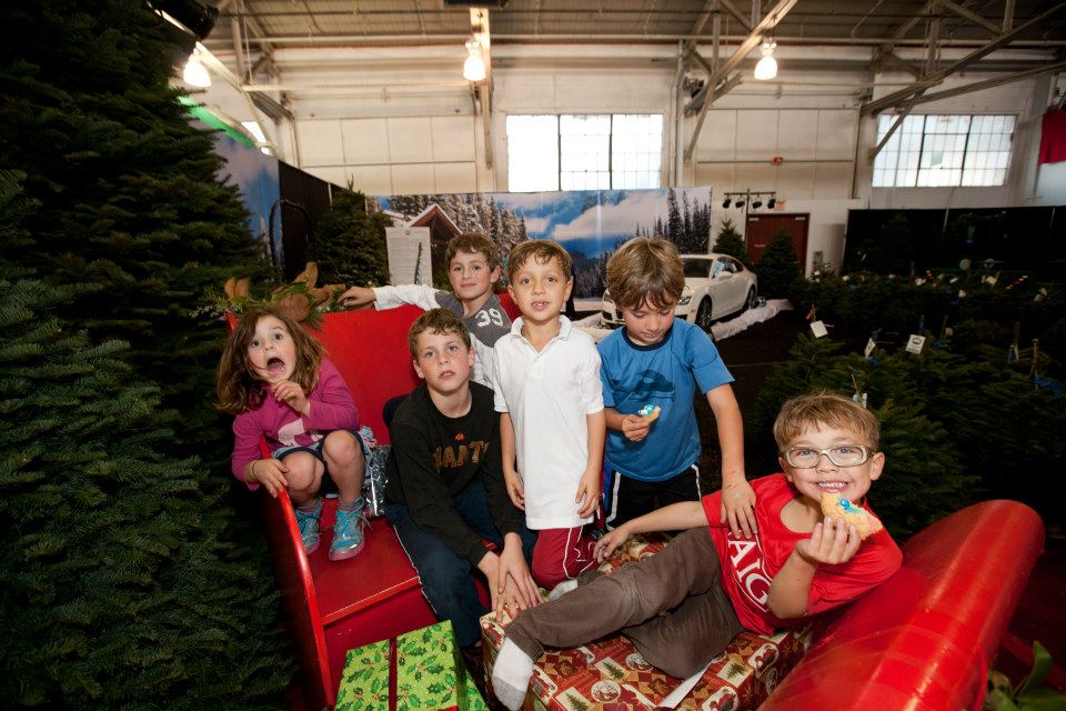 The Guardsmen Christmas Tree Lot | 2 Marina Blvd, San Francisco, CA 94123 | Phone: (415) 573-3310