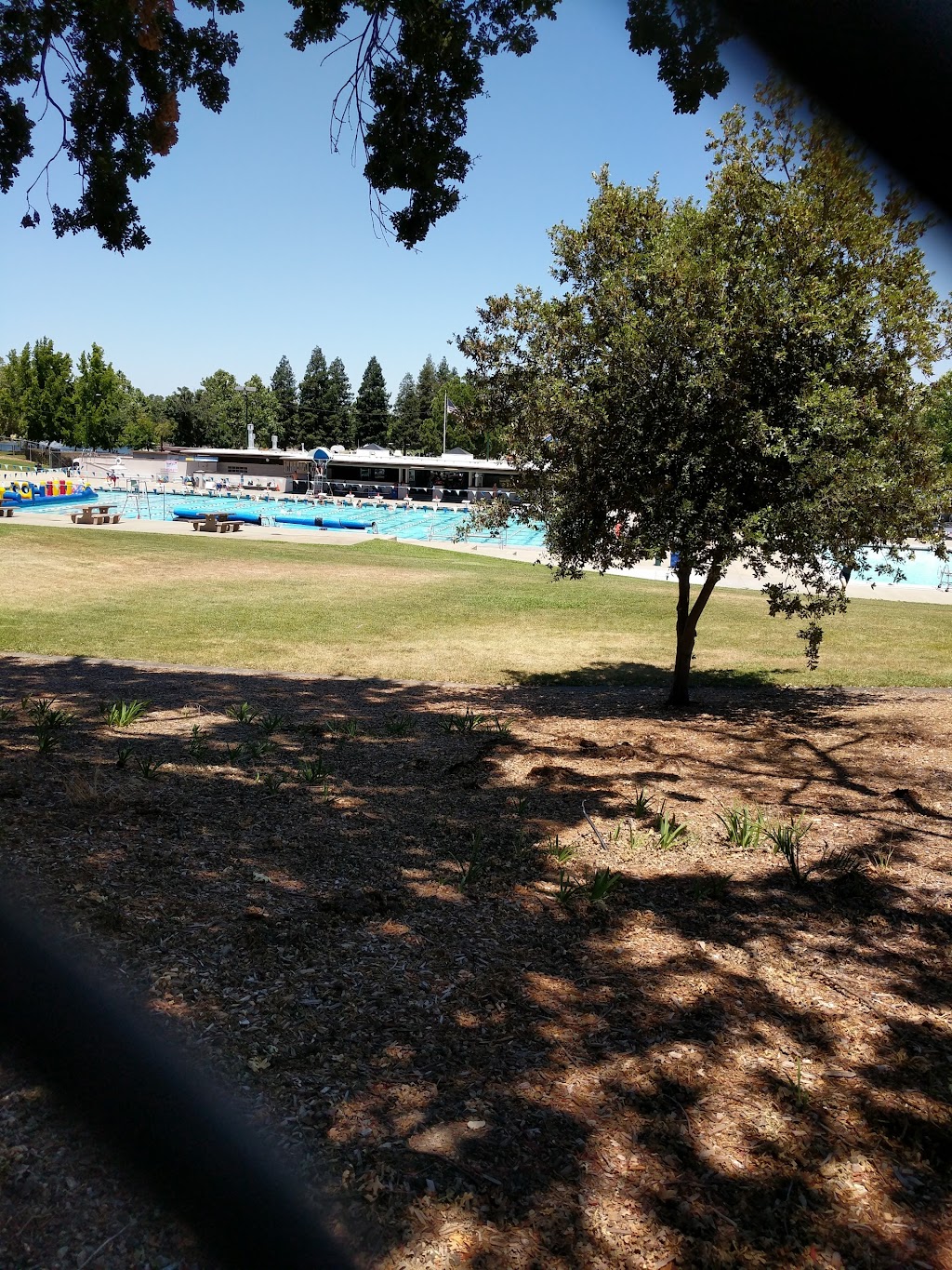 Walnut Creek Masters Swim Team | 1750 Heather Dr, Walnut Creek, CA 94598 | Phone: (925) 280-5421