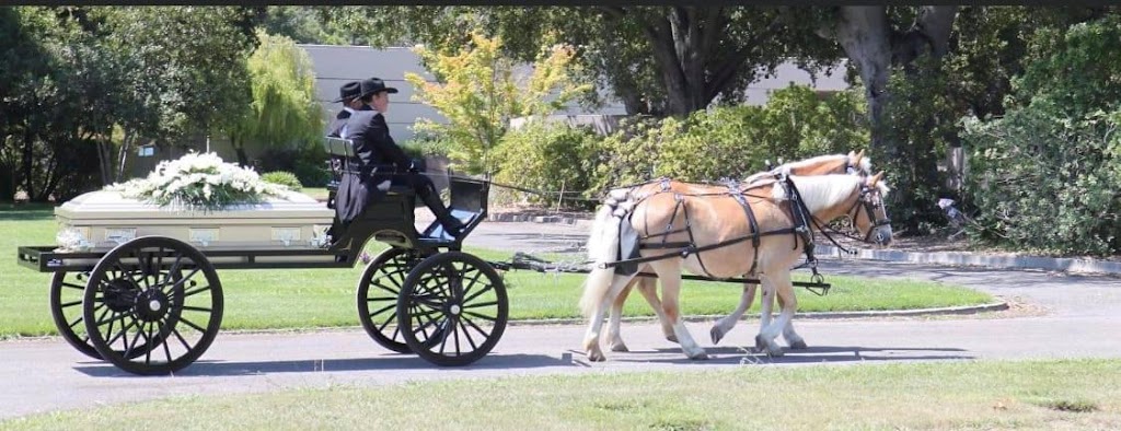 Fancy Ferriage by Horse & Carriage | 3900 Brown Rd, Oakley, CA 94561 | Phone: (925) 679-9412