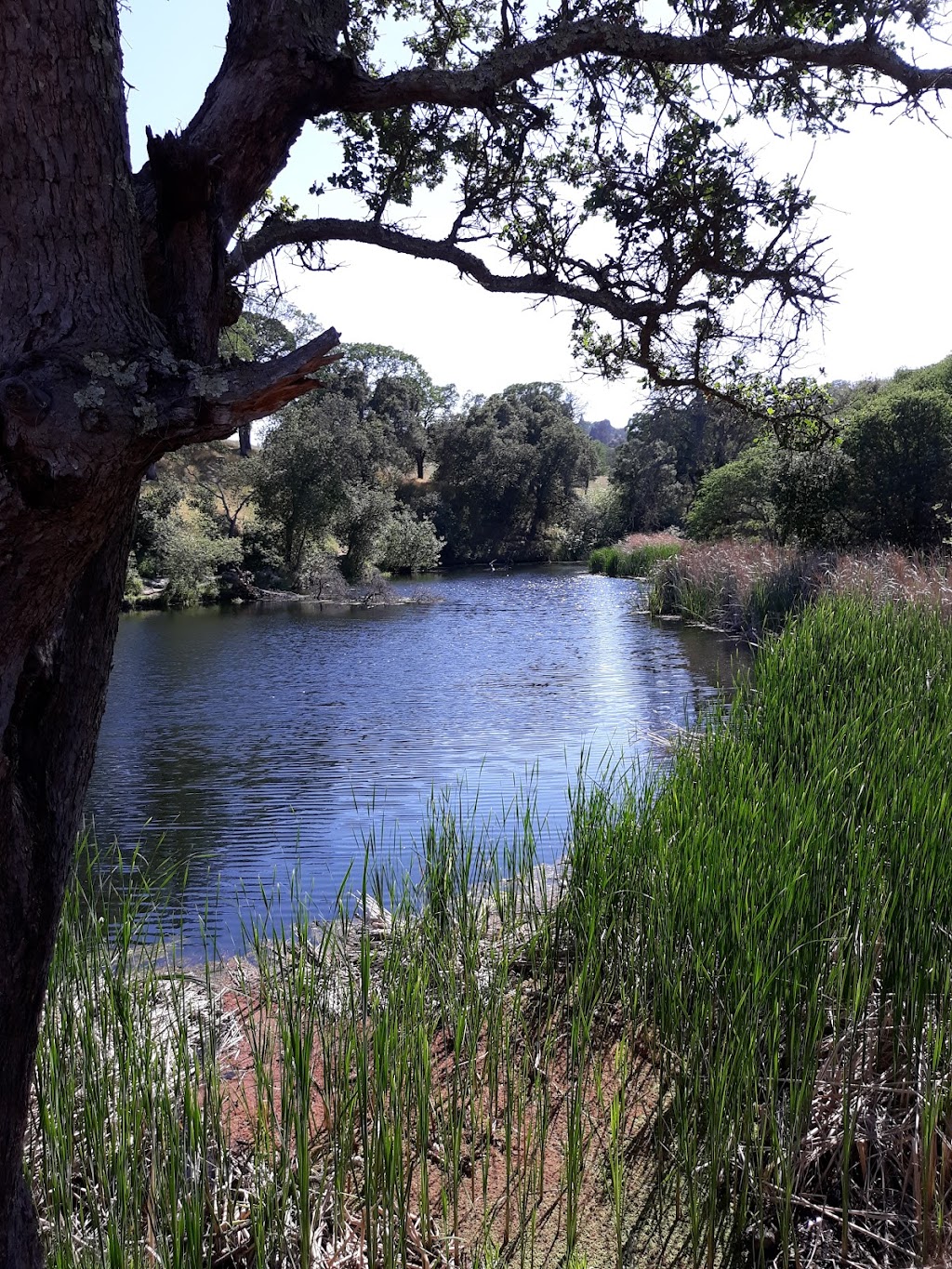 Hidden Lakes Park | Morello Ave & Chilpancingo Pkwy, Martinez, CA 94553 | Phone: (925) 372-3510