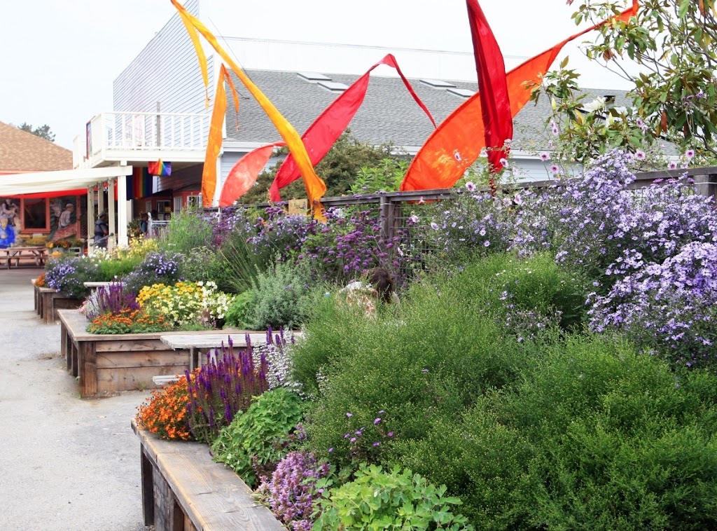 Rotary Club of West Marin Peace Garden | 11250 CA-1, Point Reyes Station, CA 94956 | Phone: (415) 868-1618