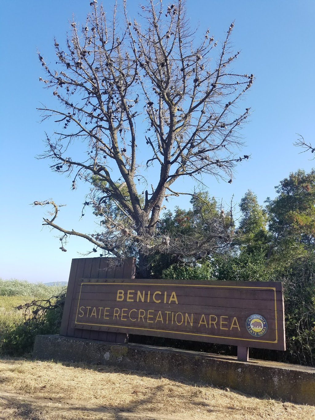 Parks & Recreation Department | 1 State Park Rd, Benicia, CA 94510 | Phone: (707) 648-1911