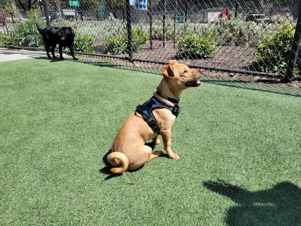 Golden Gate Park Dog Training Area | 6335 Fulton St, San Francisco, CA 94121 | Phone: (415) 831-2700