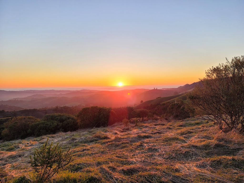 Windy Hill Open Space Preserve | Portola Valley, CA 94028 | Phone: (650) 691-1200