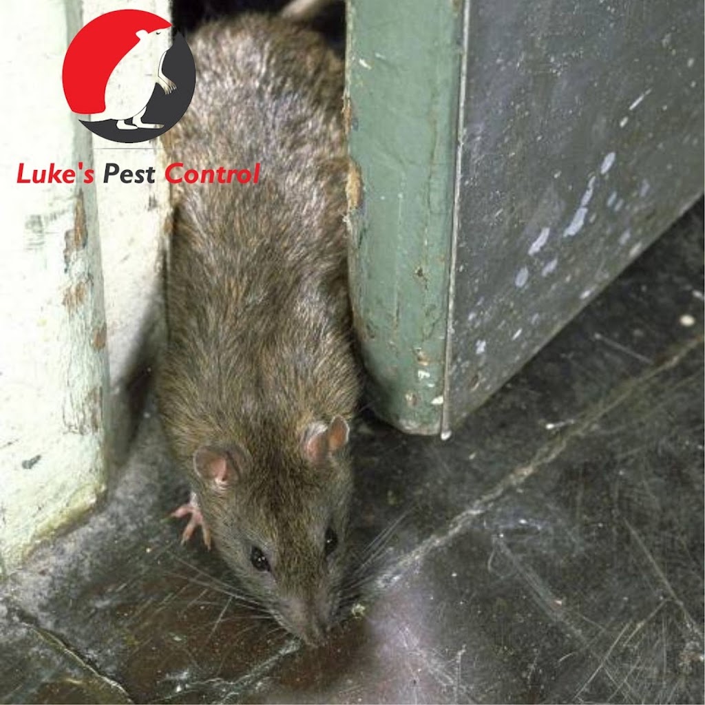 Lukes Pest Control | 1998 San Pablo Ave, Oakland, CA 94612 | Phone: (877) 525-0863