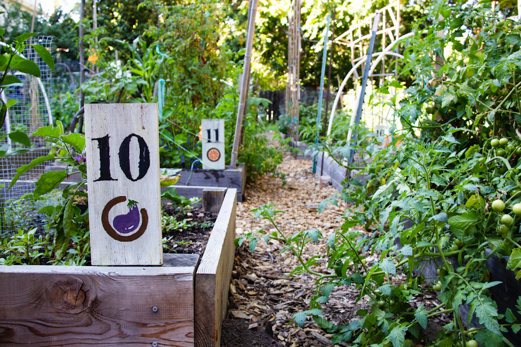 Collective Roots Community Garden | 1785 Woodland Ave, East Palo Alto, CA 94303 | Phone: (925) 771-2990