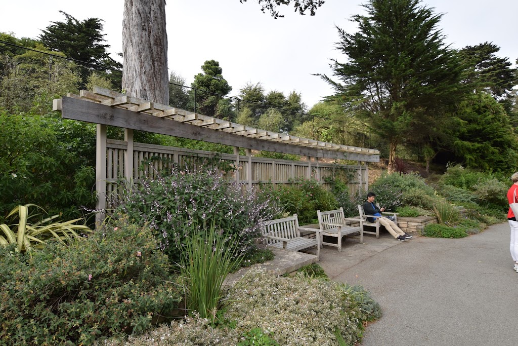 Zellerbach Garden of Perennials | Cloud Forest Path, San Francisco, CA 94122 | Phone: (415) 661-1316