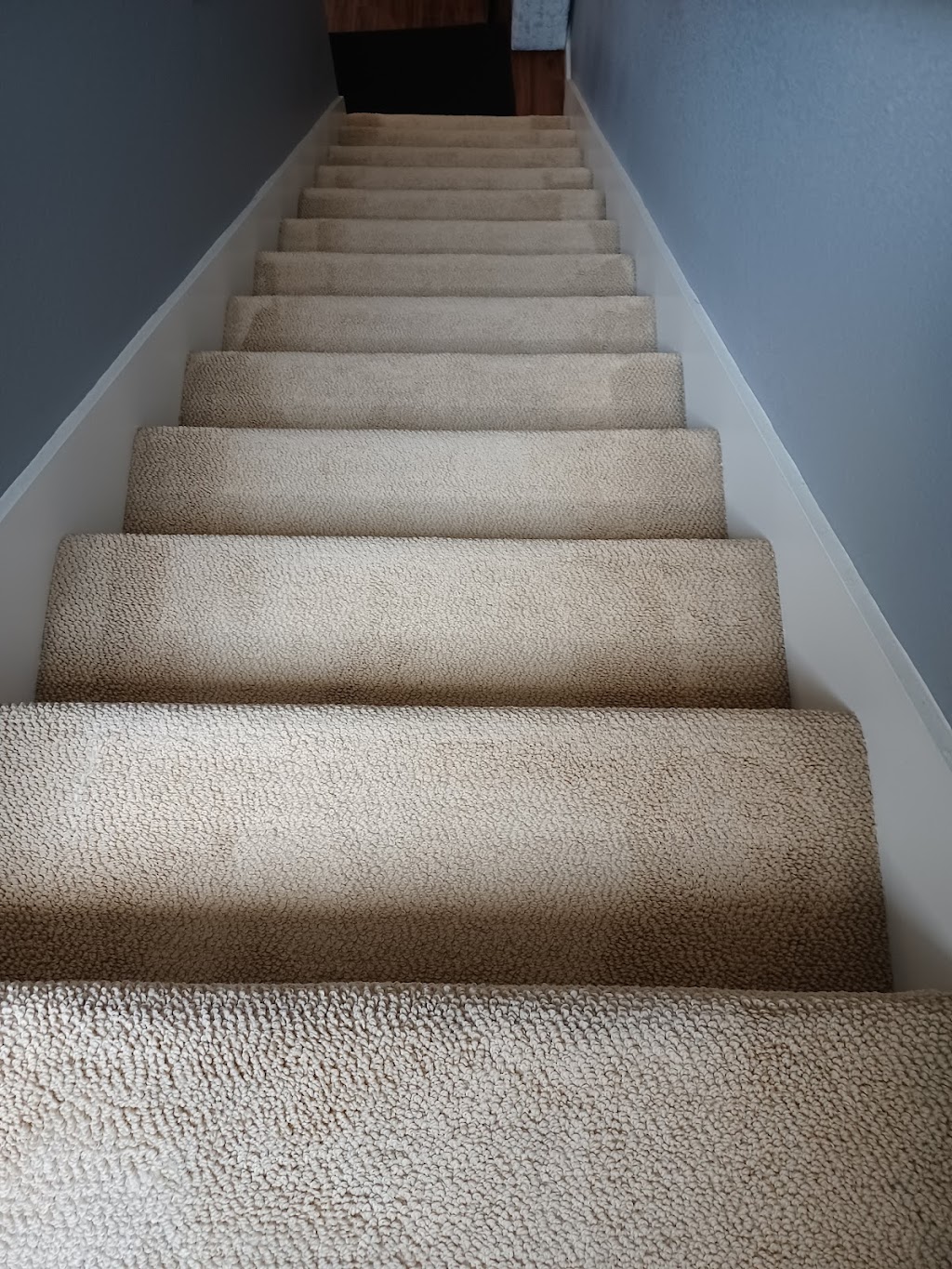 Carpet Cleaning Steam Clean | 31770 Alvarado Blvd, Union City, CA 94587 | Phone: (510) 585-1010