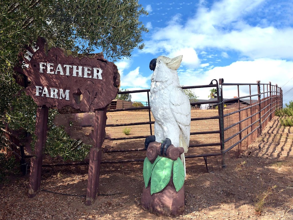 Feather Farm | 1183 4th Ave, Napa, CA 94559 | Phone: (707) 255-8833