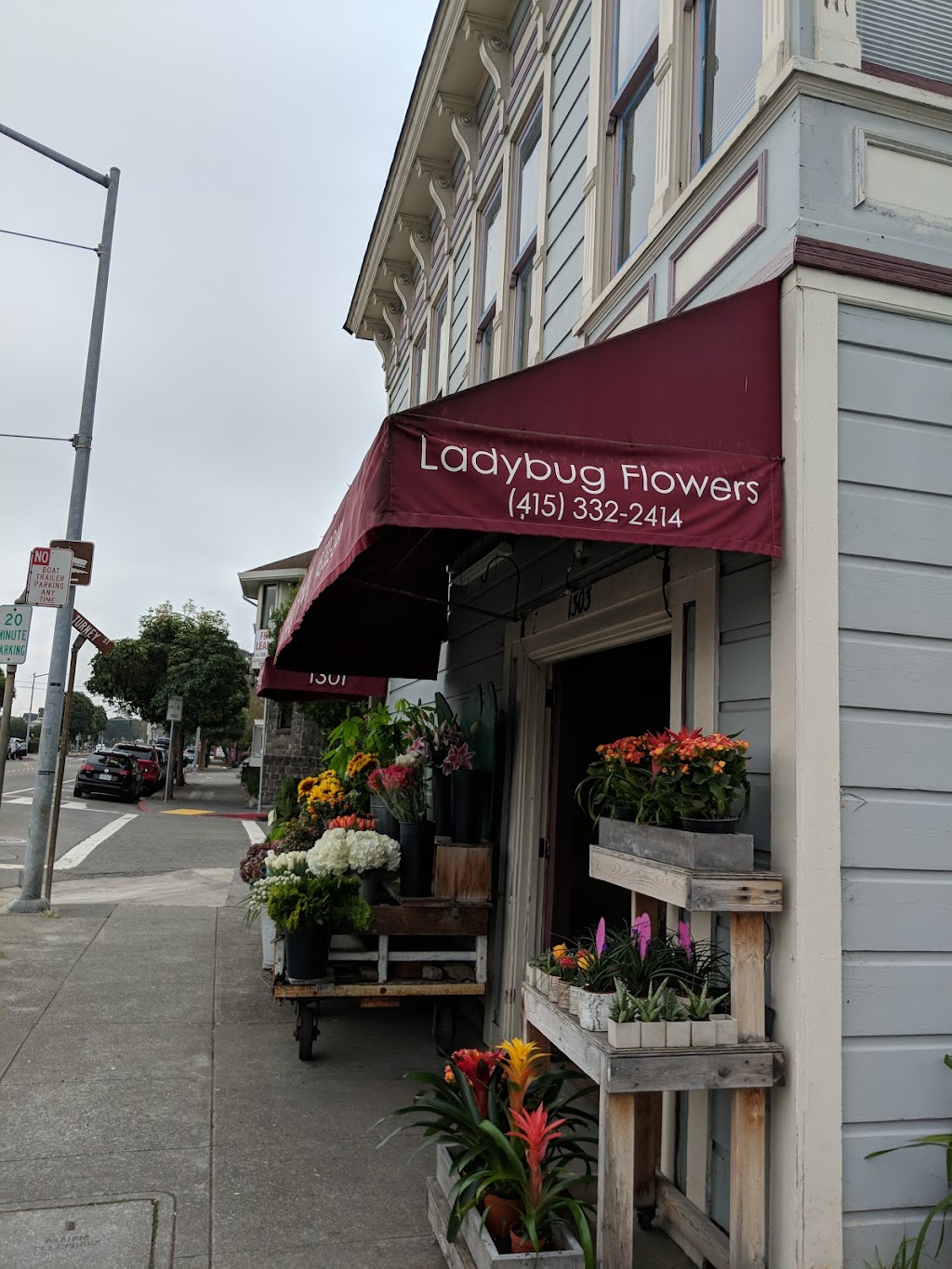Ladybug Flowers | 1303 Bridgeway, Sausalito, CA 94965 | Phone: (415) 332-2414