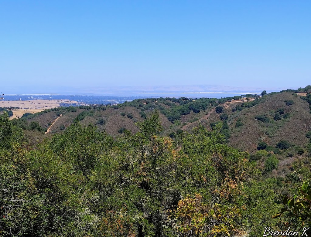 Fern Loop Trail | Fern Loop Trail, Portola Valley, CA 94028 | Phone: (650) 329-2423