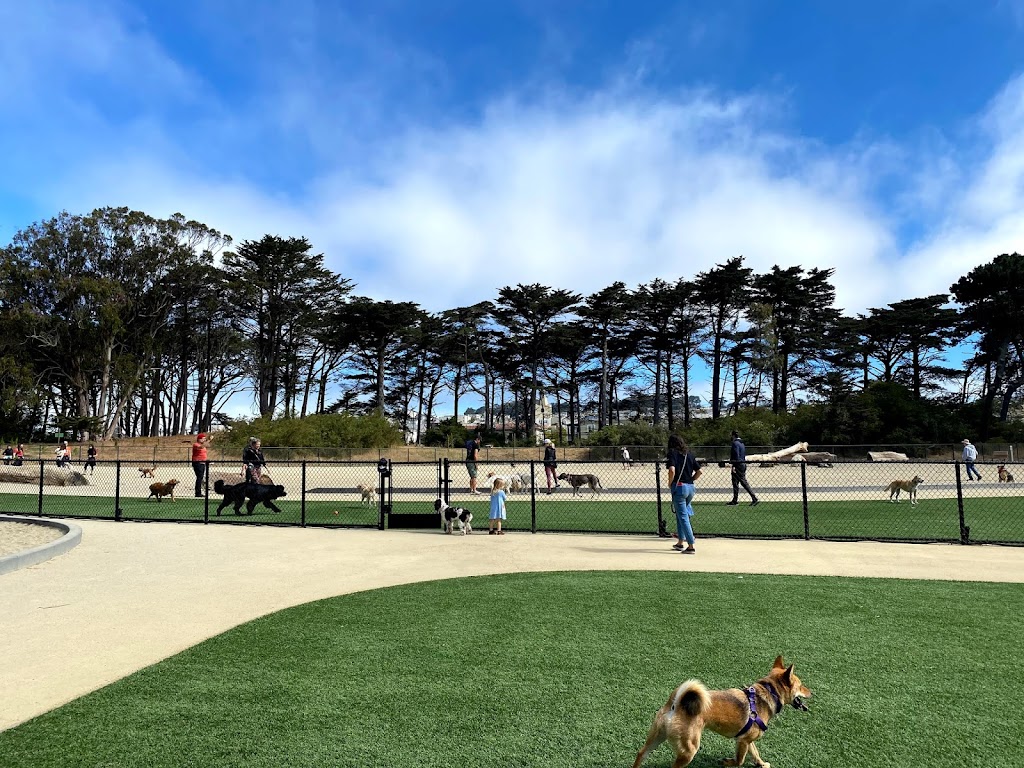 Golden Gate Park Dog Training Area | 6335 Fulton St, San Francisco, CA 94121 | Phone: (415) 831-2700