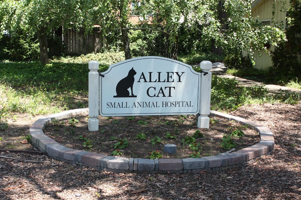 Alley Cat Small Animal Hospital | 1041 Wine Country Ave, Napa, CA 94558 | Phone: (707) 224-2525