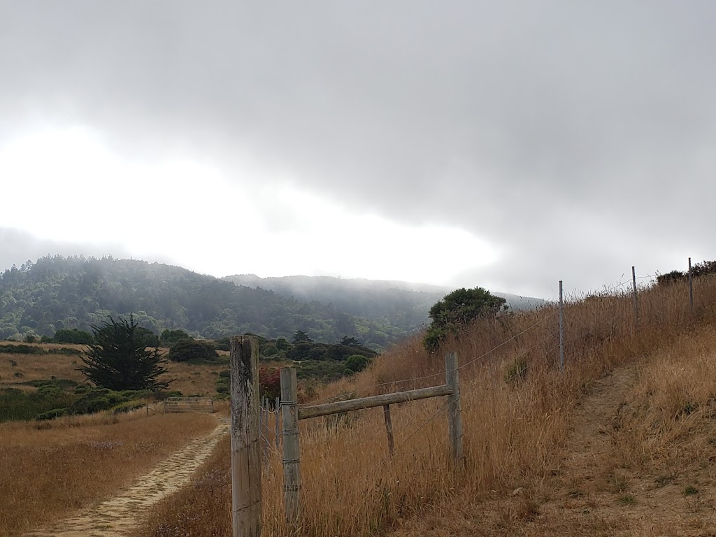 Tomales Bay Trailhead | Tomales Bay Trail, Point Reyes Station, CA 94956 | Phone: (415) 464-5100