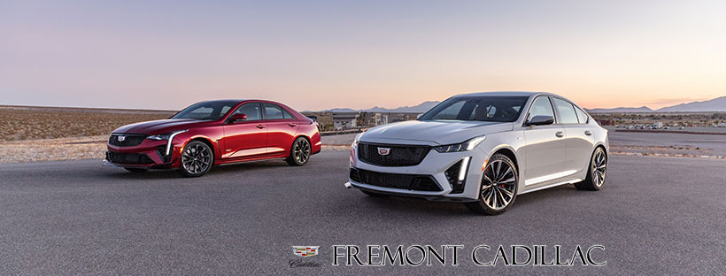 Fremont Cadillac | 5939 Auto Mall Pkwy, Fremont, CA 94538 | Phone: (510) 962-3363