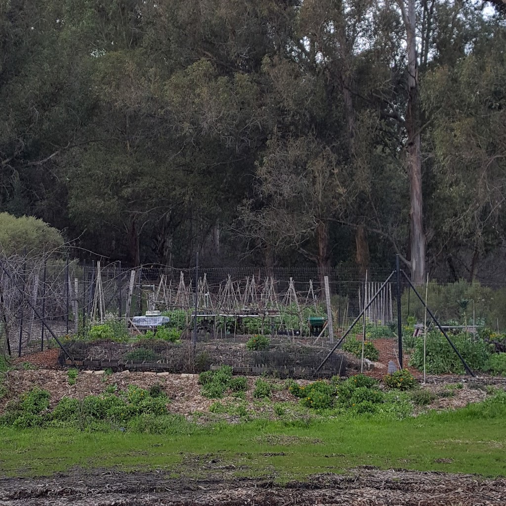 Cloverfield Organic Farm | 501 La Paloma Rd, El Sobrante, CA 94803 | Phone: (510) 253-8859