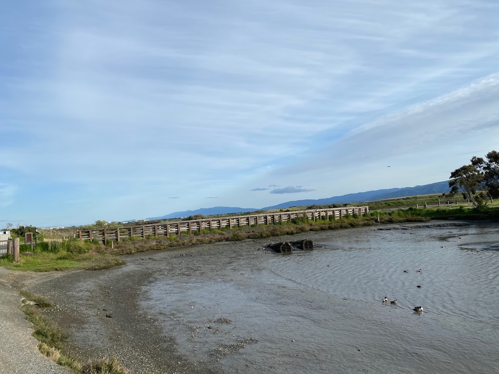 Lucy Evans Baylands Nature Interpretive Center | 2775 Embarcadero Rd, Palo Alto, CA 94303 | Phone: (650) 329-2506