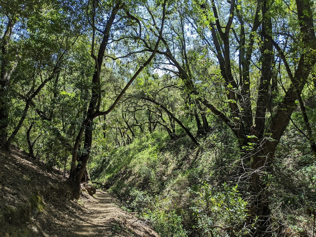 Chabot to Garin Regional Trail | Castro Valley, CA 94552 | Phone: (925) 254-3778