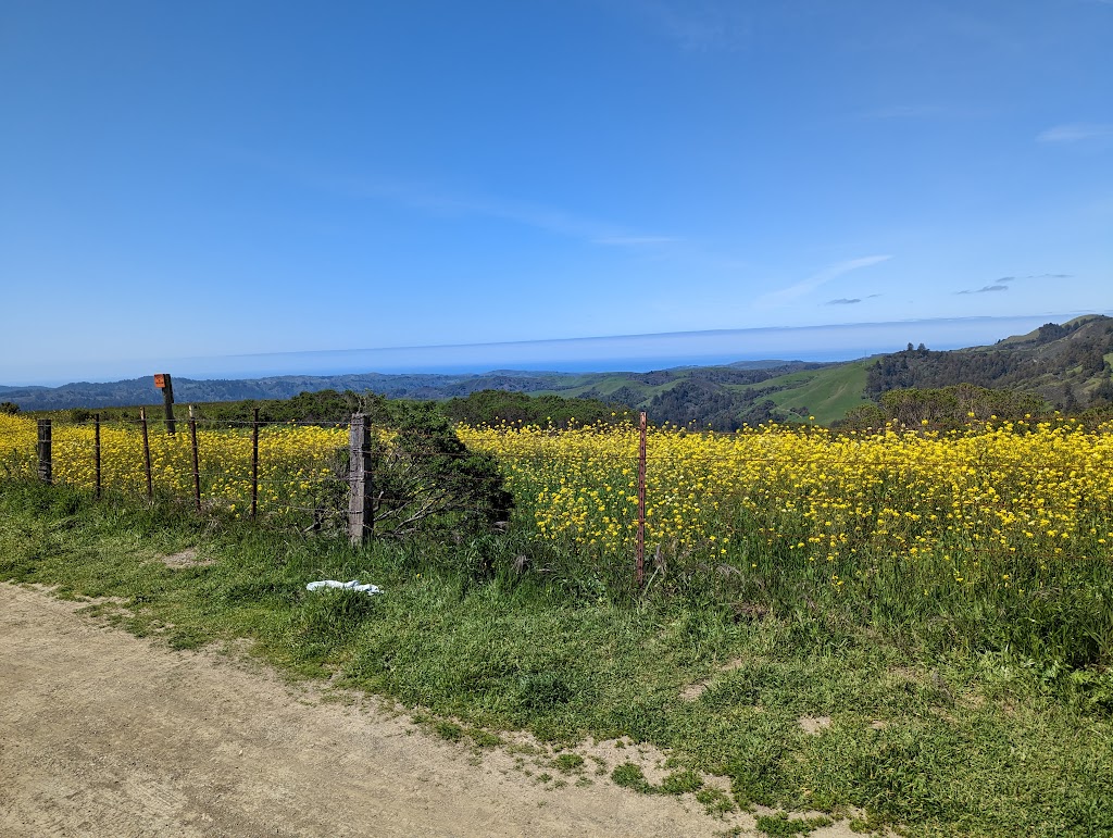 Russian Ridge Open Space Preserve | Redwood City, CA 94062 | Phone: (650) 691-1200