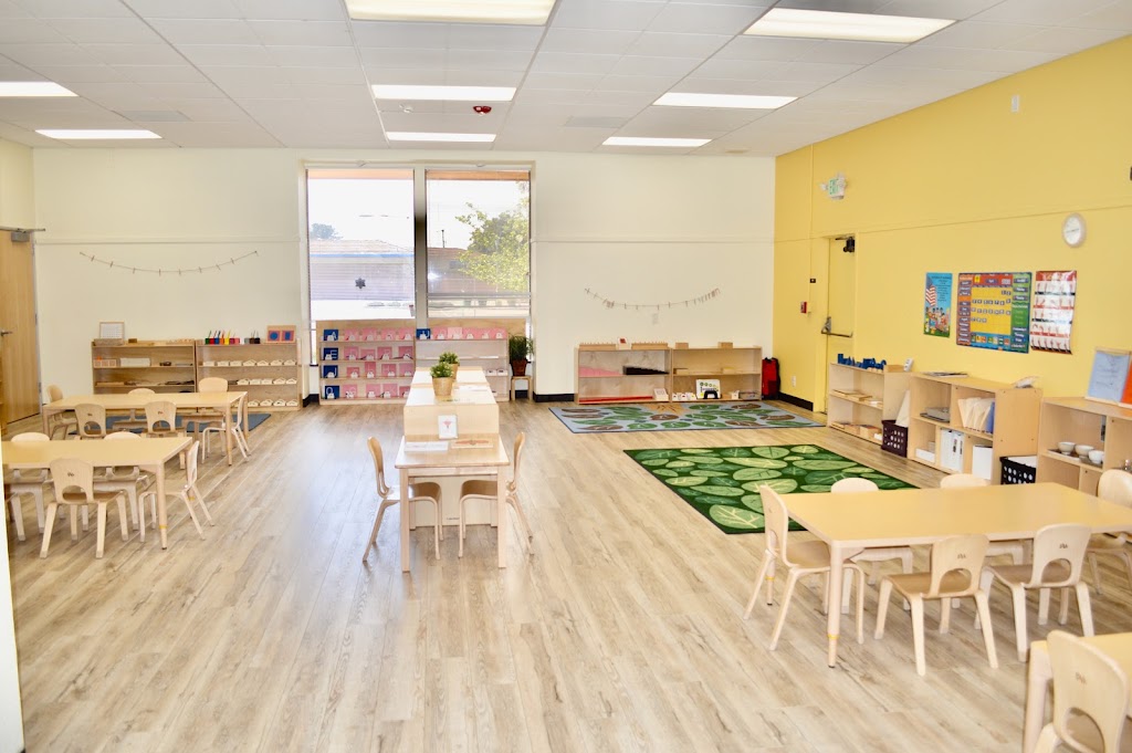 Safari Kid Montessori - Irvington | 41811 Blacow Rd, Fremont, CA 94538 | Phone: (510) 573-4871
