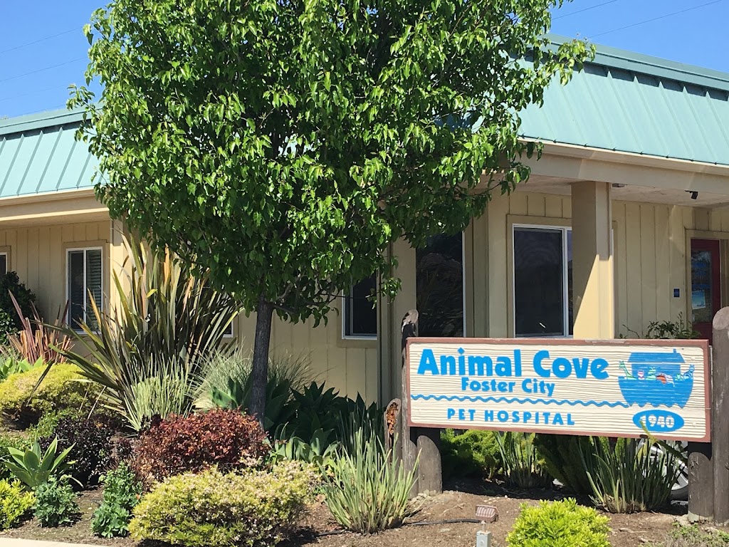 Animal Cove Pet Hospital | 1940 Beach Park Blvd, San Mateo, CA 94404 | Phone: (650) 377-0822