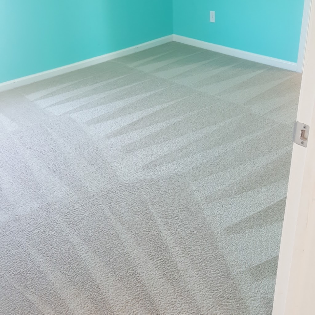 NEW LOOK CARPET CLEANING | 1487 Viera Ave, Antioch, CA 94509 | Phone: (925) 727-9913