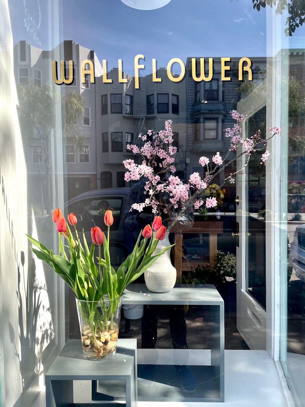 Wallflower | 593 Guerrero St, San Francisco, CA 94110 | Phone: (415) 658-7399